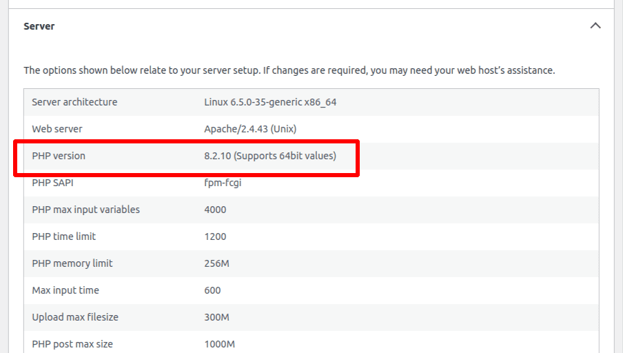 Server into PHP version